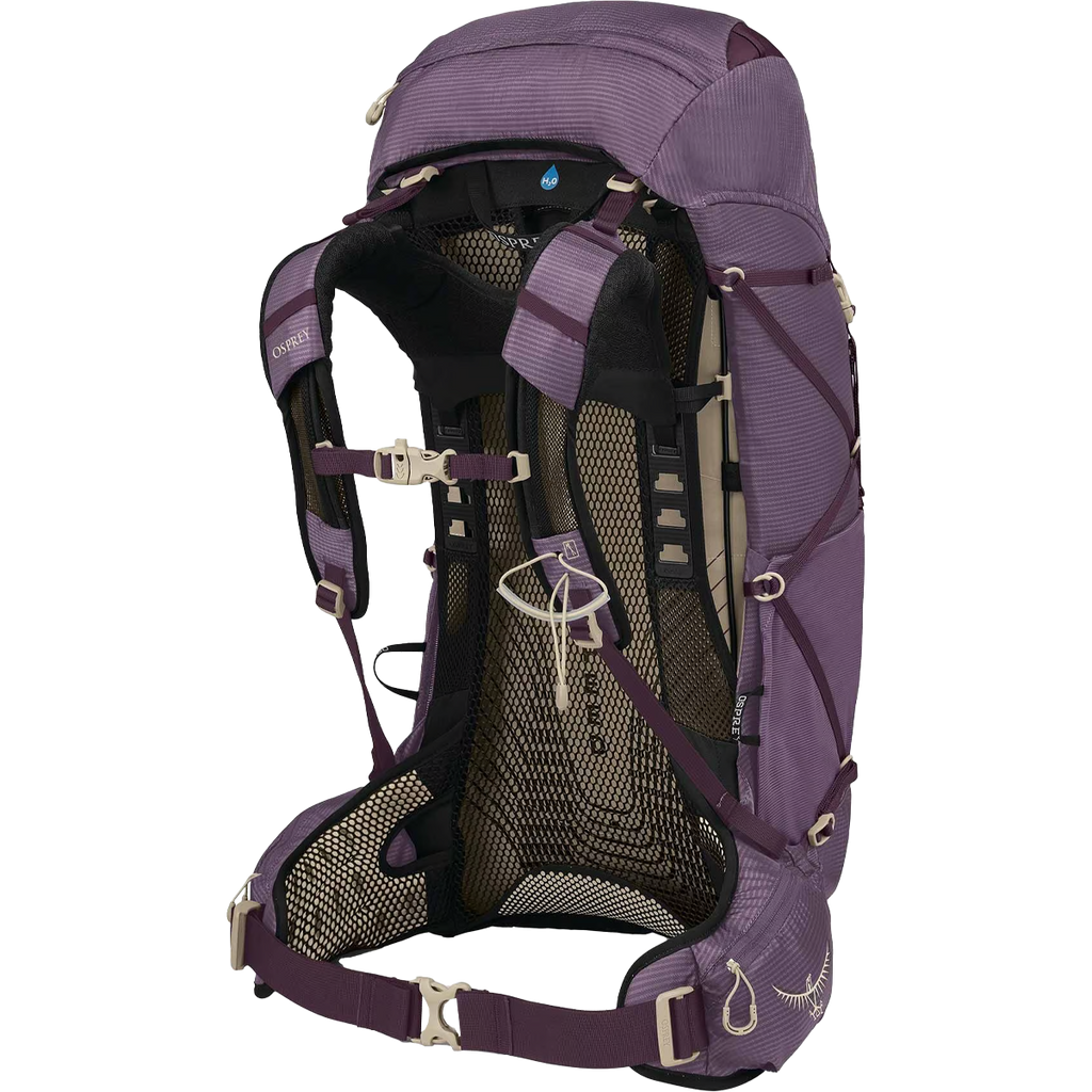 Women's Eja 38