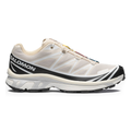 Salomon Men's XT-6 Rainy Day/Black/White