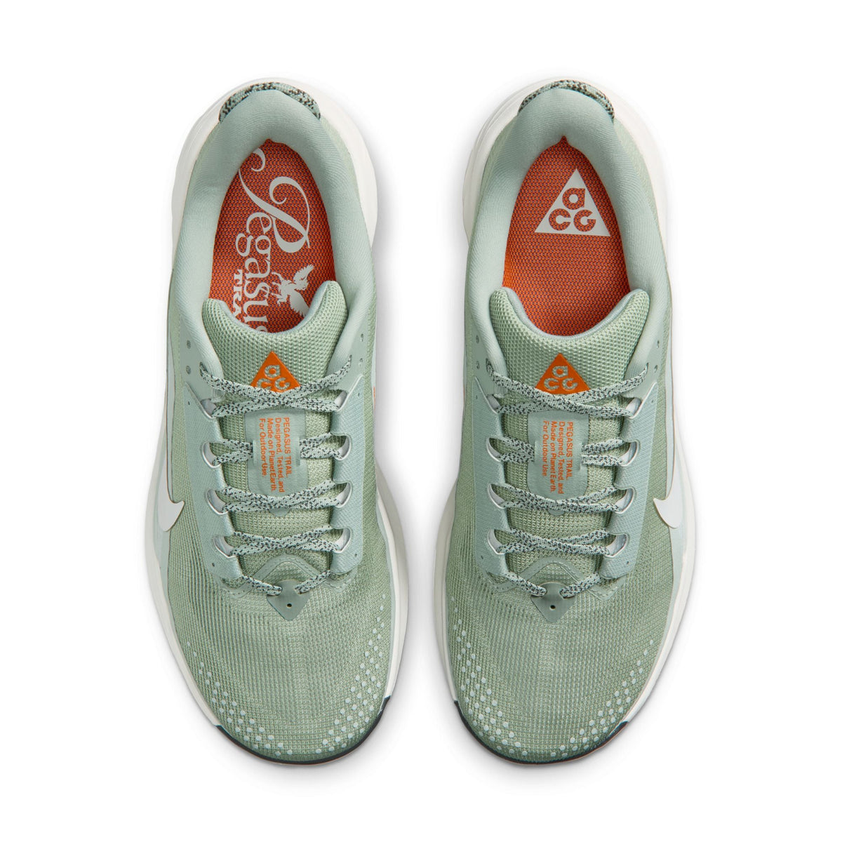 Men’s ACG Pegasus Trail (310 - Jade Horizon/Phantom-Light Silver)